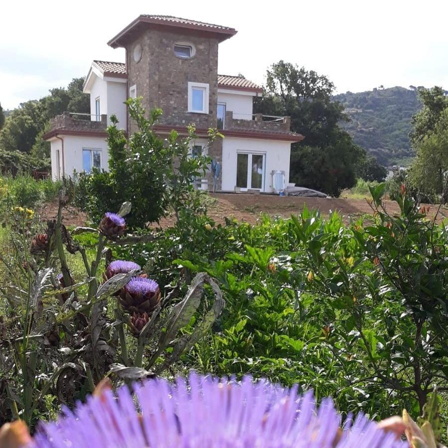 סנטה מריה די קסטלבאטה B&B Il Sogno מראה חיצוני תמונה